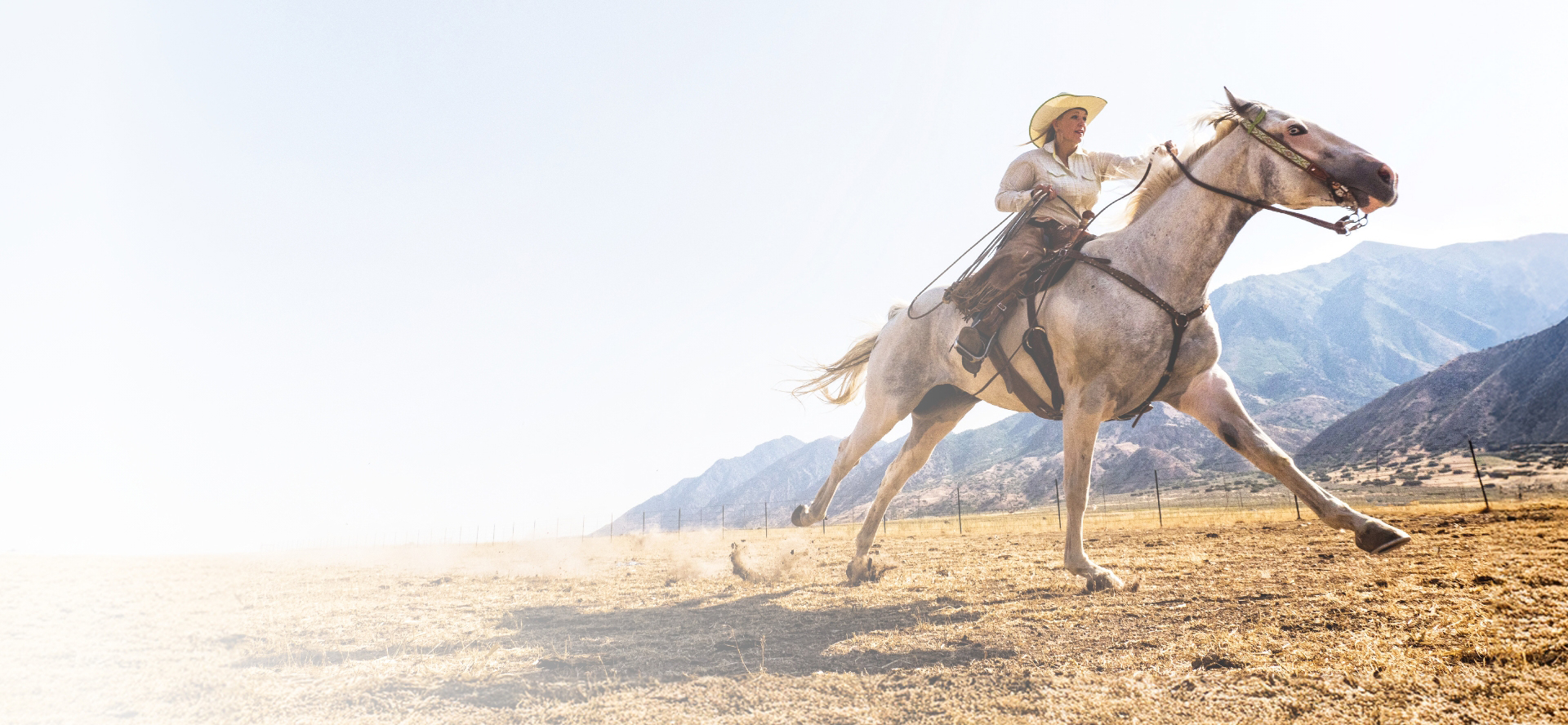 Photo: Woman riding a horse