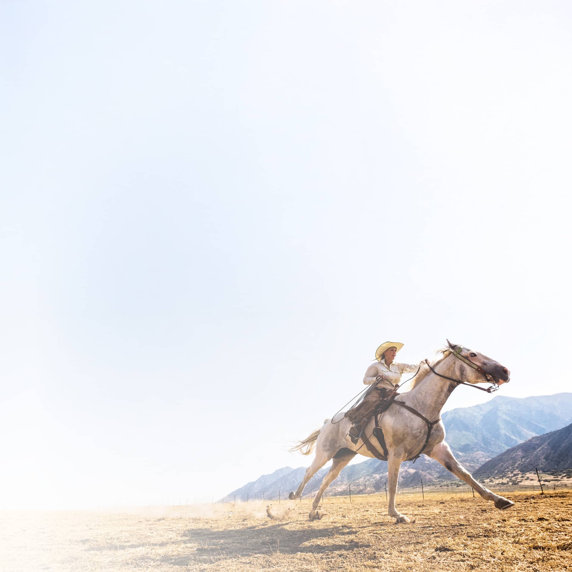 Photo: Woman riding a horse