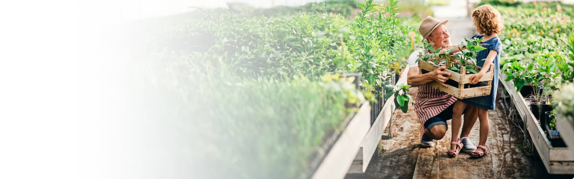 Photo: Joint Revision