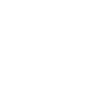Icon: Ankle